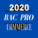 Bac Pro commerce 2020 APK