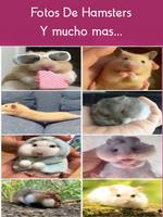 Mascotas Hamsters captura de pantalla 3