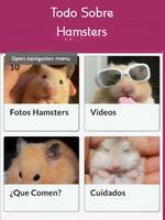 Mascotas Hamsters Affiche