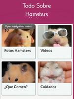 Mascotas Hamsters Poster