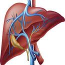 Liver Cirrhosis APK