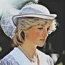 Princess Diana(Biography, fact APK