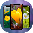 Flowers - Wallpaper in HD icon
