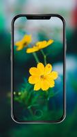 Flowers - Wallpaper in HD poster