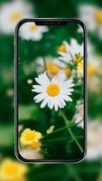 Flowers - Wallpaper in HD screenshot 3