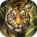 Animals wallpapers