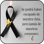 Mis Condolencias Imagenes icon