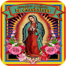 Virgen De Guadalupe Imagenes APK