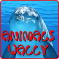 Animlas Wally