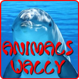 Animlas Wally