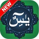 surah yaseen + Audio Offline 2020 surah yaseen mp3 APK