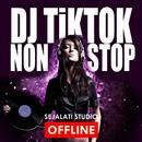 DJ Tiktok Terbaru 2021 APK