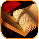 Kitab Kuning Lengkap Terjemaha APK