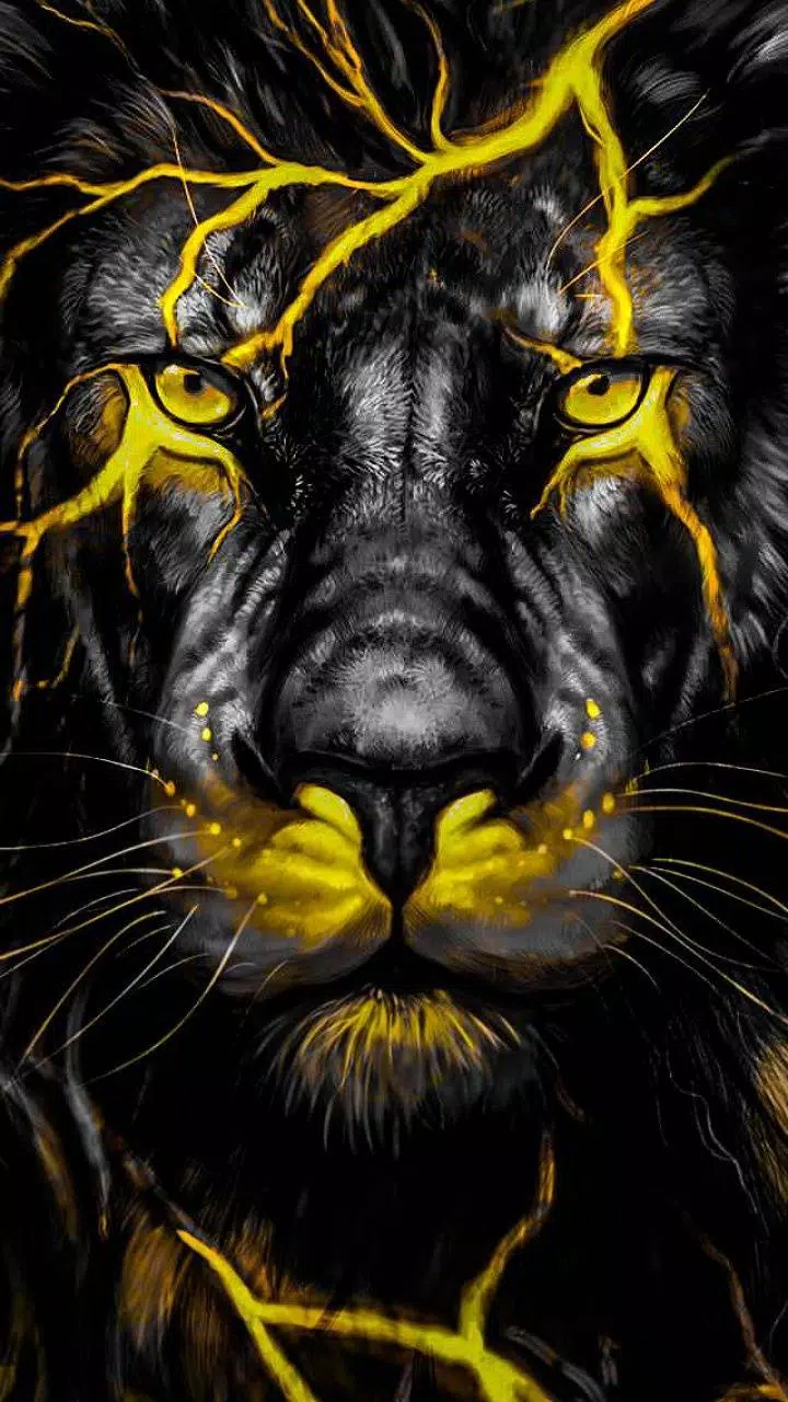 Lion Wallpapers HD APK for Android Download