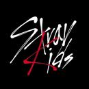 APK Stray Kids wallpapers Kpop 4k  2020