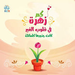 المحتوى المفيد بأسلوب عصري مع مصلحون