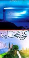 كتب حنان لاشين постер