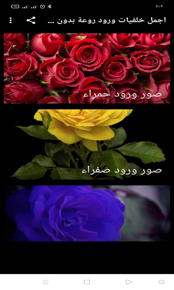 اجمل خلفيات ورود For Android Apk Download