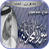 سورة المجادلة إسلام صبحي بدون  иконка