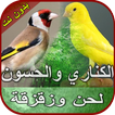 صوت الكناري والحسون بدون نت