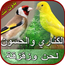 صوت الكناري والحسون بدون نت aplikacja