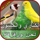 صوت الكناري والحسون بدون نت icono