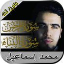 سورة الرحمن والنبأ بصوت محمد إ APK