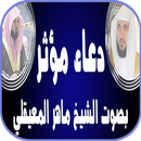 ماهر المعيقلي _ أدعية مستجابة  aplikacja