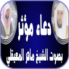 ماهر المعيقلي _ أدعية مستجابة  иконка
