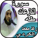 سورة طه وسورة النازعات - رعد الكردي بدون نت APK