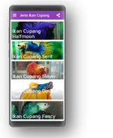 Jenis Ikan Cupang Poster