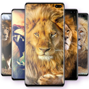 Lion Wallpapers APK