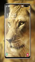 Lion Wallpapers syot layar 2