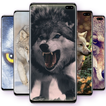 Wolf Wallpapers