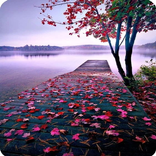 خلفيات قفل الشاشه بدون نت