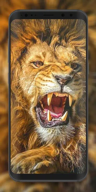Wild Animal Wallpaper 4K APK for Android Download Wild Animal Wallpaper 4K APK for Android Download