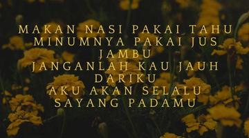 Pantun Bucin 포스터