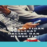 Cara WA Tidak Terlihat Online 