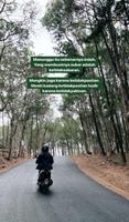 Foto Kata Kata Bucin تصوير الشاشة 1
