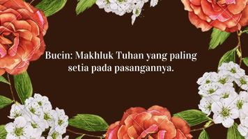 Kata Kata Bucin Quotes ポスター