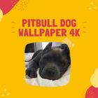 Pitbull Dog Wallpaper 4K أيقونة