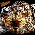 Neon Animals New Wallpapers