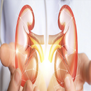 Easy Nephrology Book APK