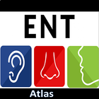 Illustrated ENT Handbook иконка