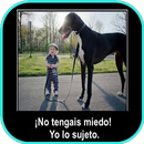 Imágenes Graciosas para Whatsapp Gratis APK