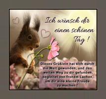 Schönen Tag Bilder 截图 1