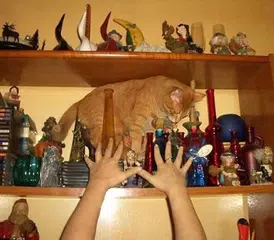 Lustige Bilder APK Herunterladen