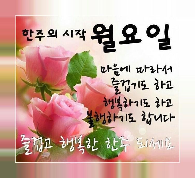 좋은 아침, 좋은 오후, 좋은 밤 카카오 톡으로 친구들과 공유 할 이미지 For Android - Apk Download