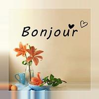 Bonjour स्क्रीनशॉट 2