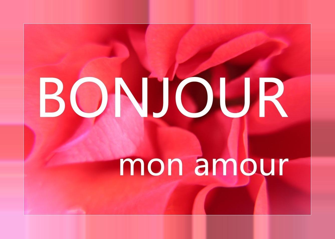 Mon amour summer version. Bonjour. Bonjour картинки. Бонжур открытки красивые. Bonjour картинки красивые для мужчины.